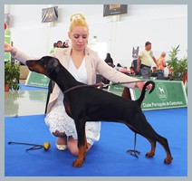 Oksana Bohemia Gotika