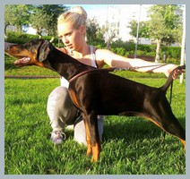Oksana Bohemia Gotika
