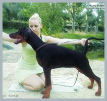Oksana Bohemia Gotika