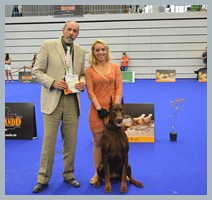 Champion Hugo Homero D'ikòskylo