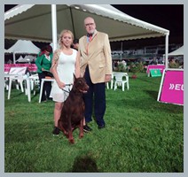 Champion Hugo Homero D'ikòskylo