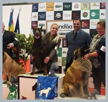 Champion Hugo Homero D'ikòskylo