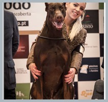Champion Hugo Homero D'ikòskylo