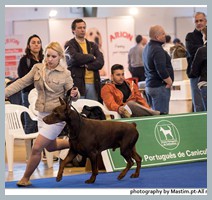 Champion Hugo Homero D'ikòskylo