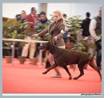 Champion Hugo Homero D'ikòskylo