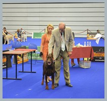 Champion Hugo Homero D'ikòskylo