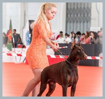 Champion Hugo Homero D'ikòskylo
