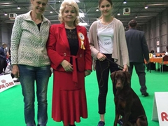 Nicole Nabrysko D'ikòskylo
